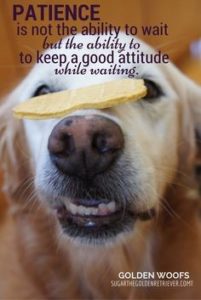 Be Patient
