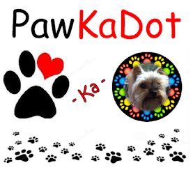 Dog Clothing By PawKadot Custom Dog Clothing Designs